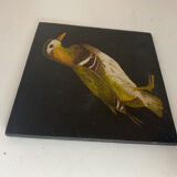Duck painting