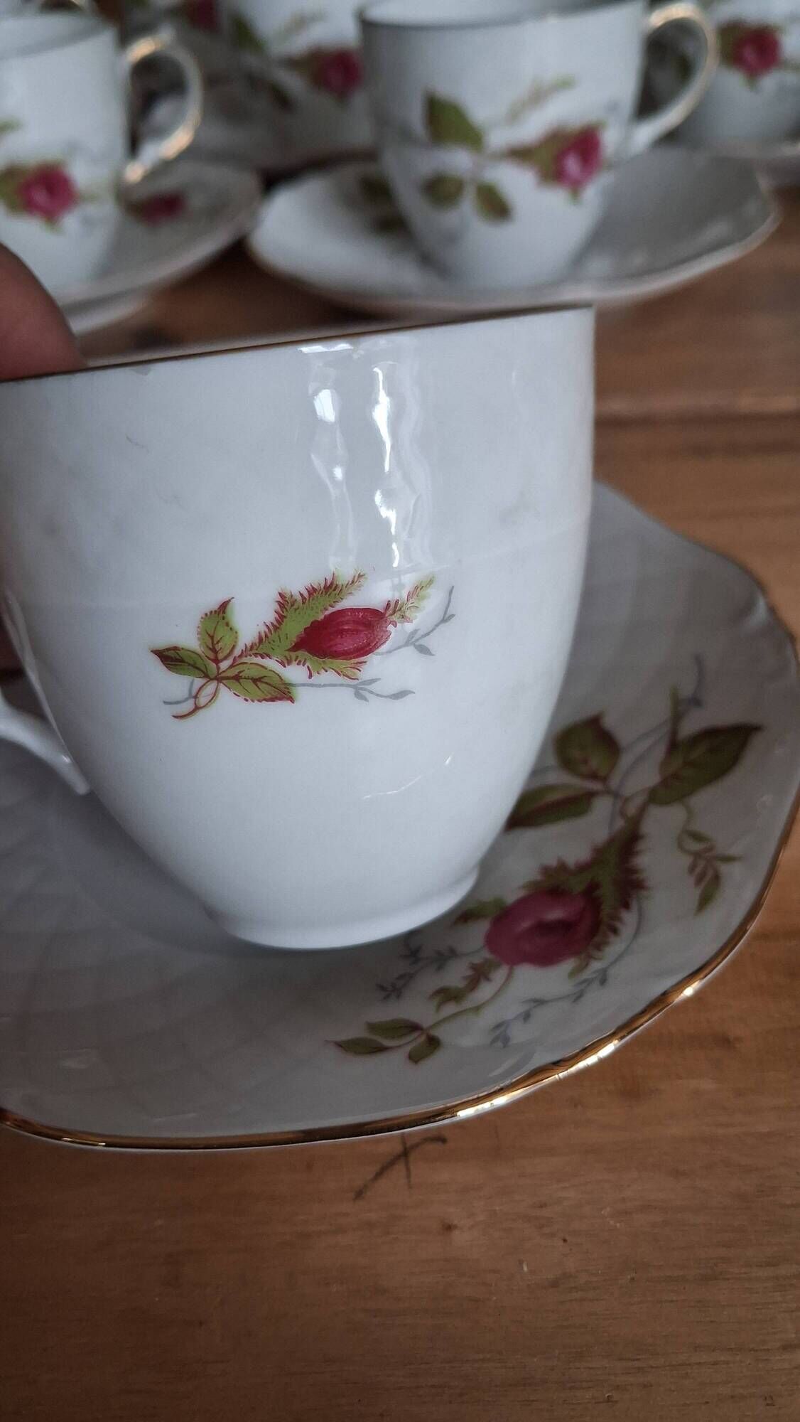 Coffee service "Briar Rose" Eschenbach