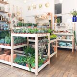 Island furniture / display / shelf