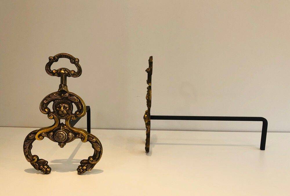 Pair of neoclassical andirons in bronze and wrought iron