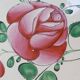 Lot de 2 assiettes en faience de l'est rose rouge 19eme LUNEVILLE / ST CLEMENT