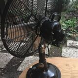 Cinni fans, 50s, vintage