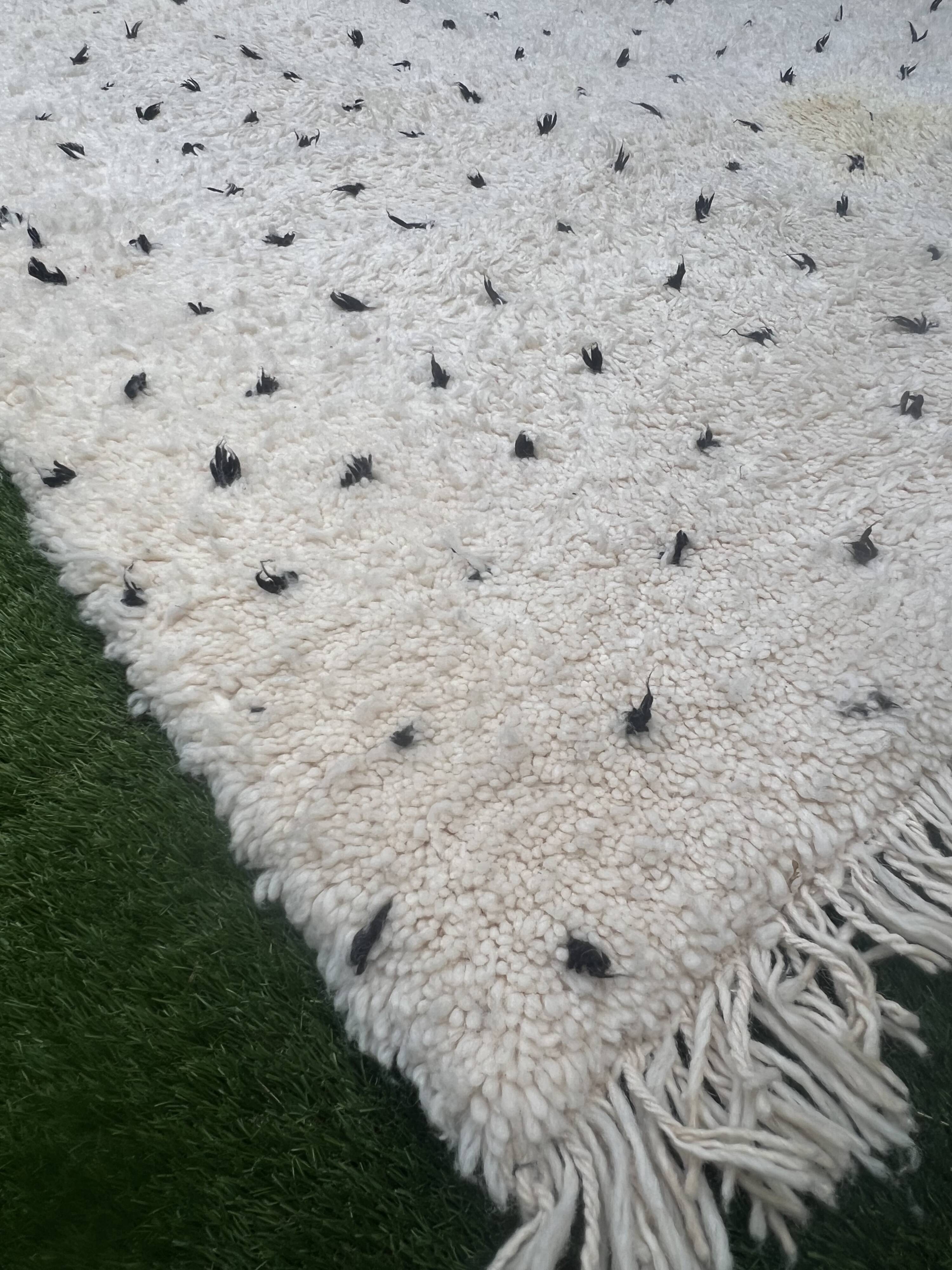Tapis beni ouarain