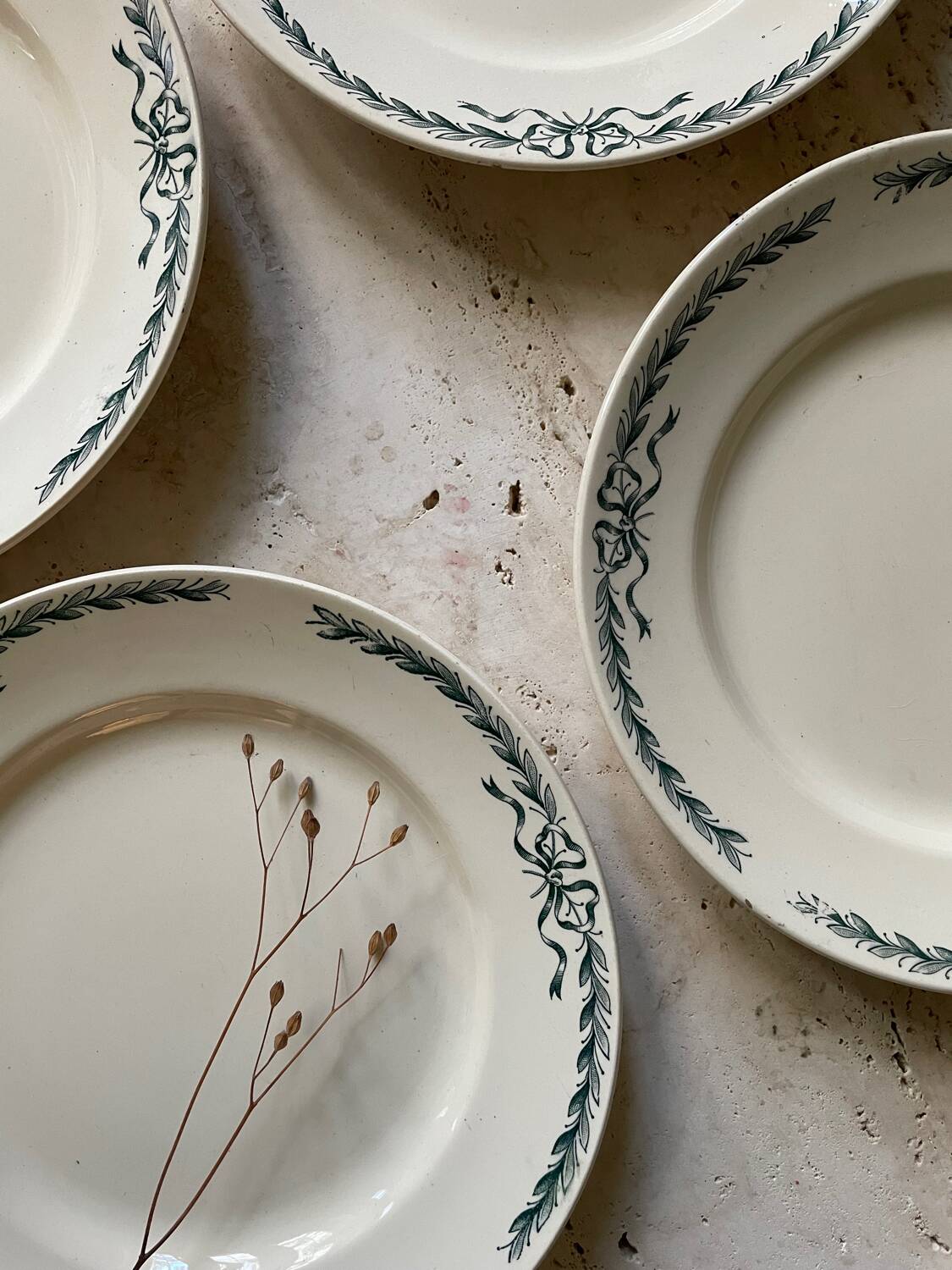 6 Belleville Longchamp old iron earth flat plates