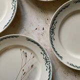 6 assiettes plates Belleville Longchamp terre de fer ancienne