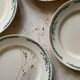 6 Belleville Longchamp old iron earth flat plates