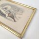 Zoological board engraving Buffon white bear and seal gilded wood frame