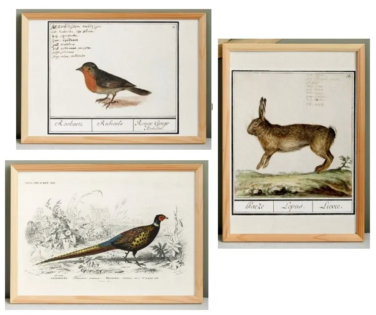 Set of 3 posters on animals