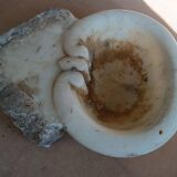 Antique holy water font in Italian Baroque marble