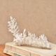 Natural white coral, 70s