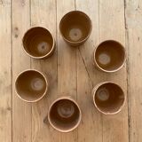Cups
