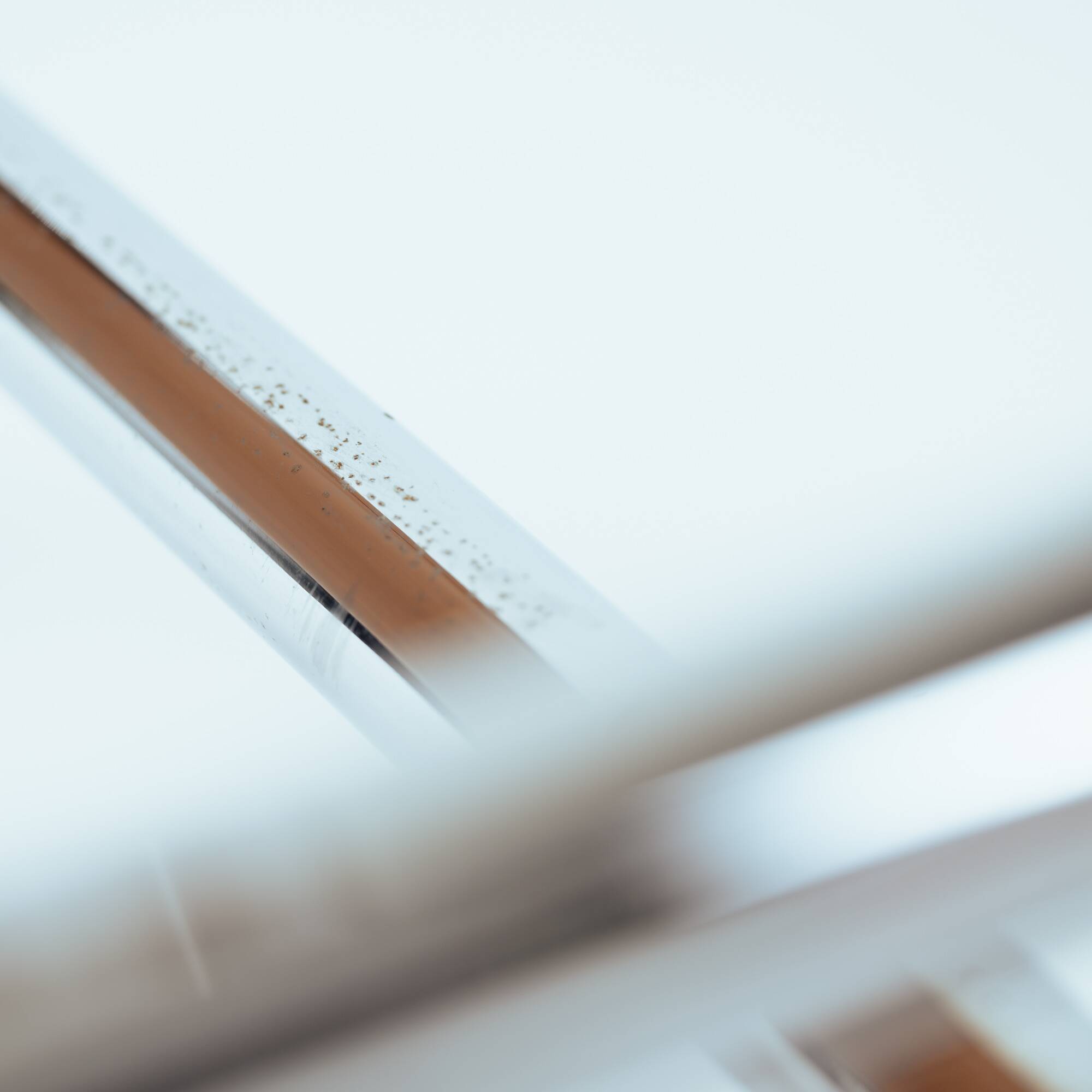 Armchair in Jacaranda Wood and Leather by Celina Decorações, Brazil, 1950s