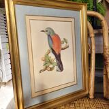 Bird engraving