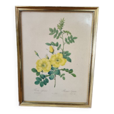 Redouté Frame