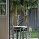 Set of 3 Vintage Stools - Chrome and Olive Green Seat