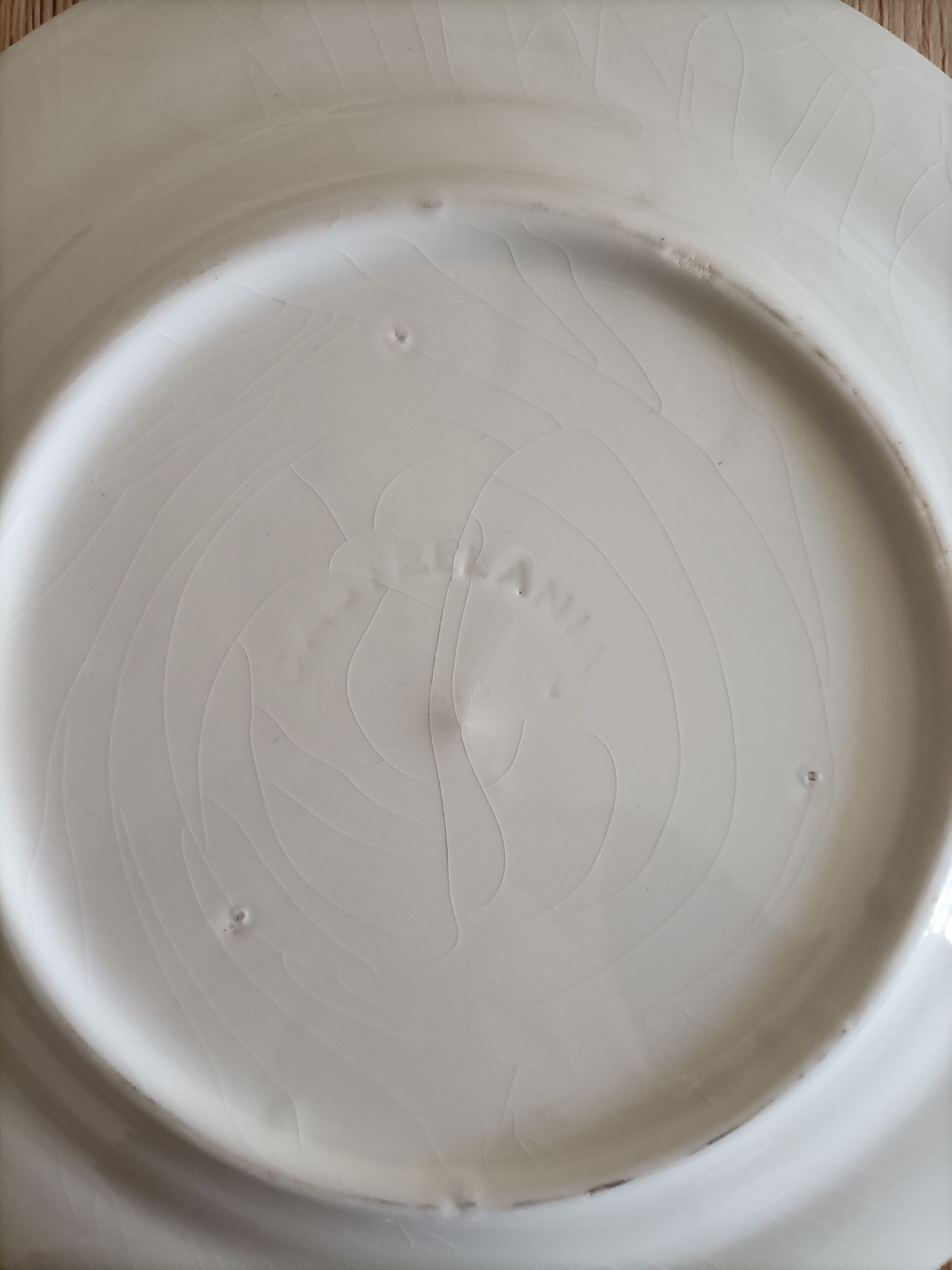 Blue porcelain onion plates