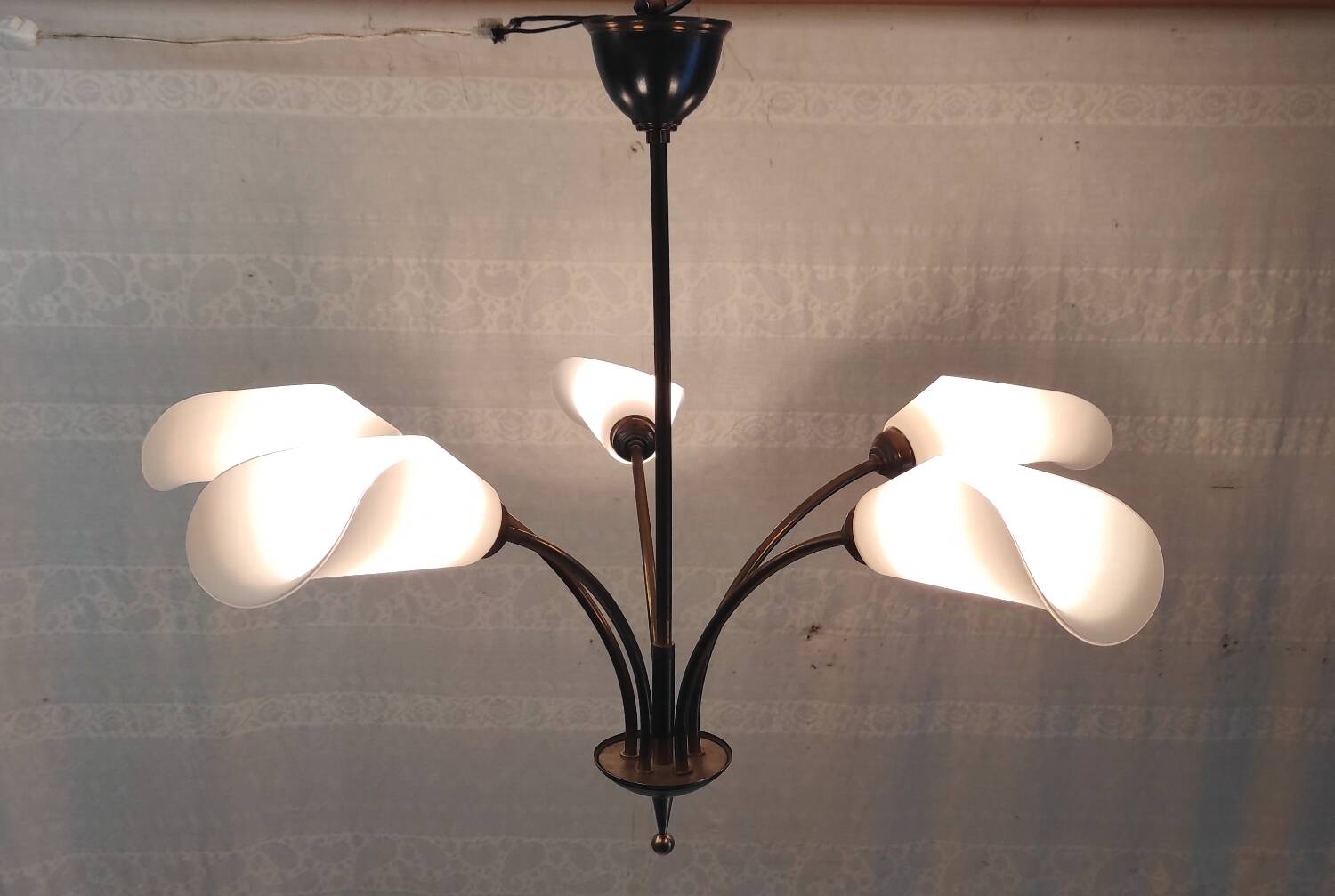 5-light chandelier in metal and opaline - mid-20th century