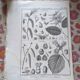 Stamped vintage botanical engraving plate natural history flowers