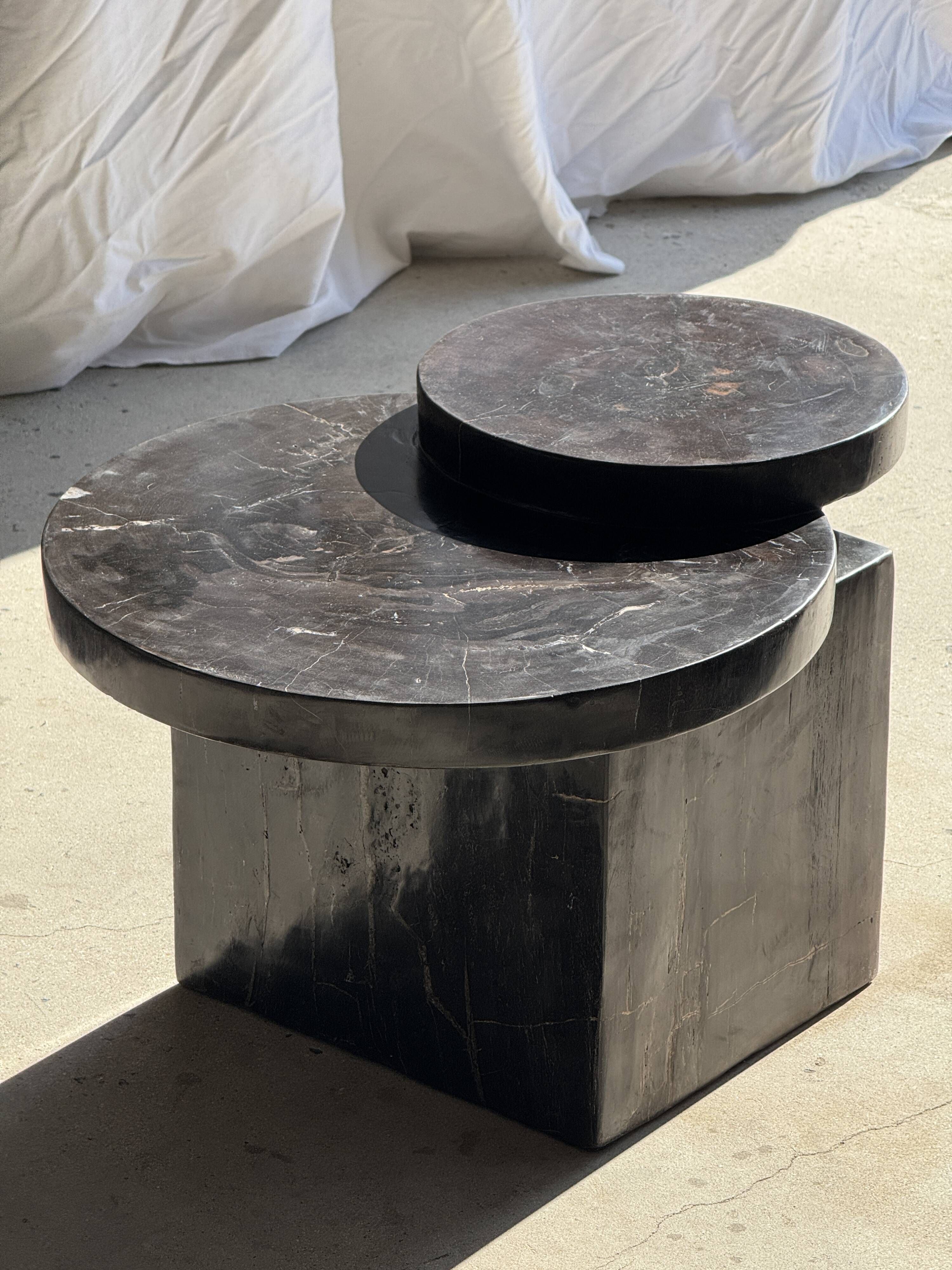 Brown petrified wood coffee table from Indonesia with a double circular top.