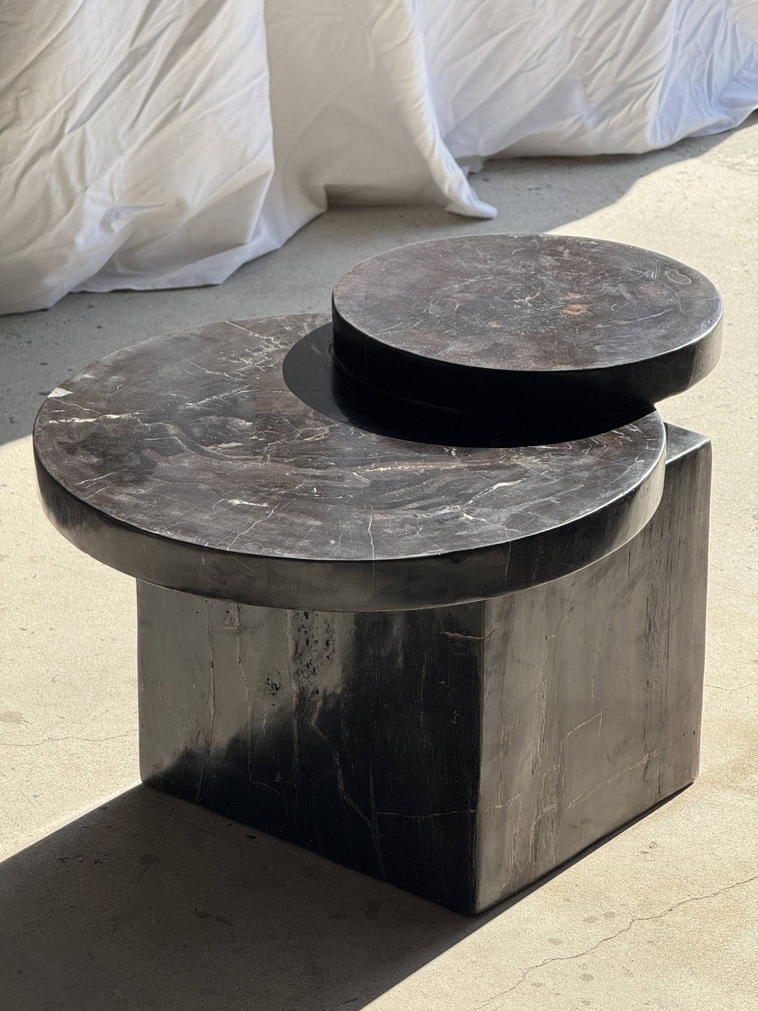 Brown petrified wood coffee table from Indonesia with a double circular top.