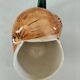 Pair of snail-shaped bowls and their leaf-shaped saucers – 1950s-1960s