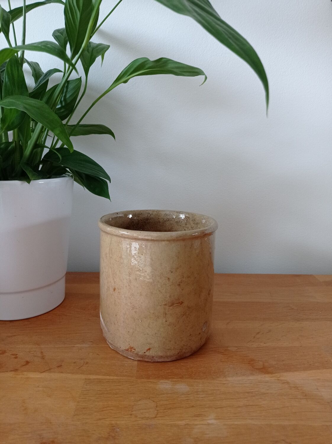 Terracotta pot