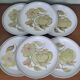 6 stoneware dinner plates