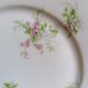 6 porcelain dessert plates Limoges