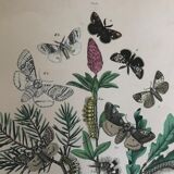 Flower and butterfly boards 1876