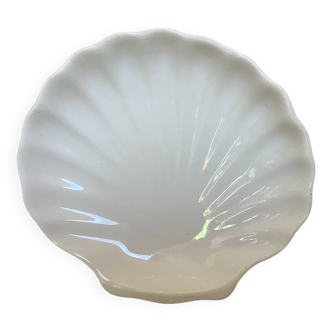 Empty scallop shell baguier pocket H