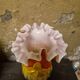 Vase en verre soufflé multicolore ́