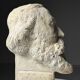 Plaster bust classic head