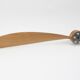 Wooden propeller