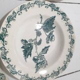 8 Saint Amand des Eaux soup plates