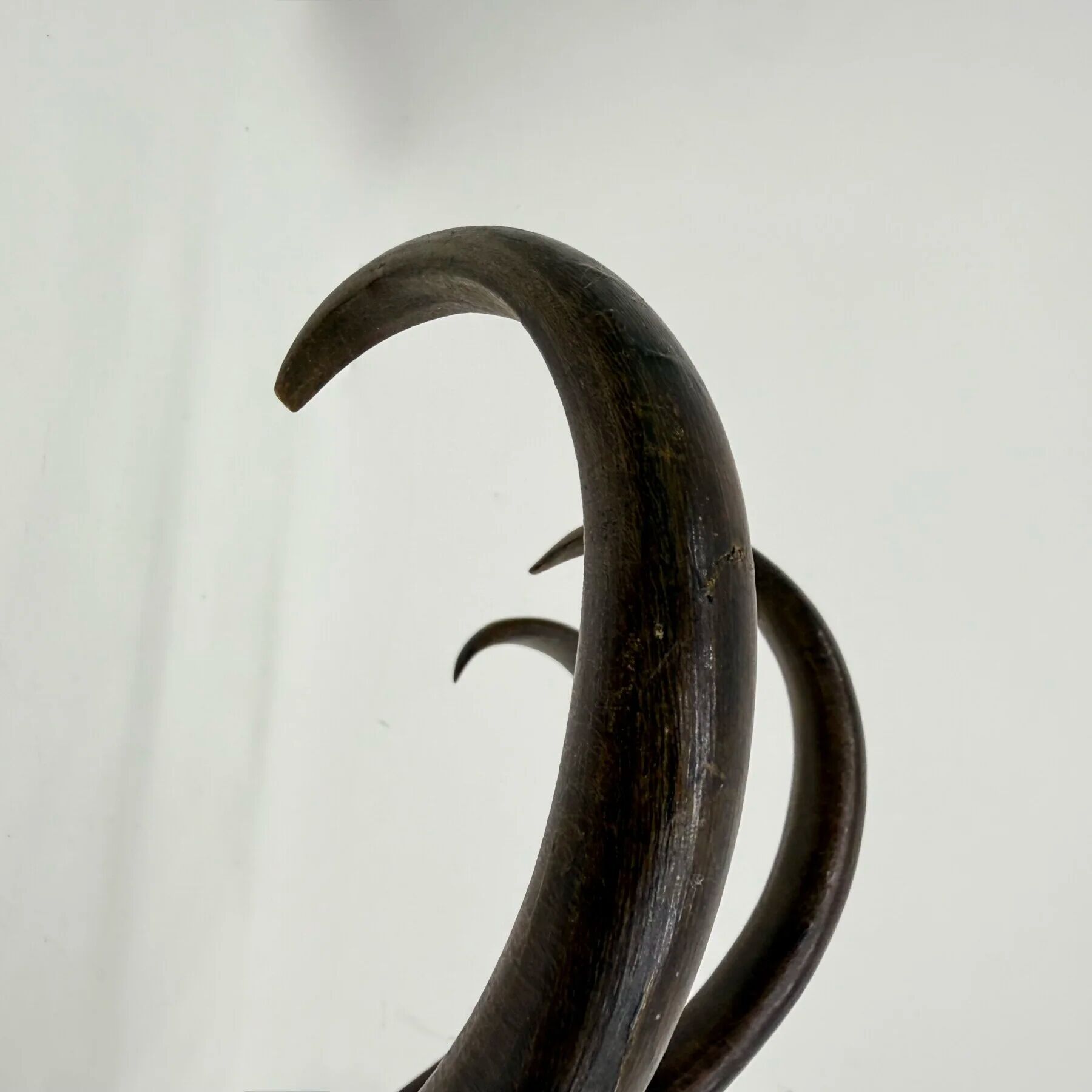 Antique Thonet bentwood wall mounted coat rack, 1930s