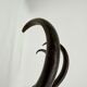Antique Thonet bentwood wall mounted coat rack, 1930s