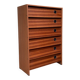 Vintage shoe cabinet