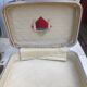 2 flight attendant suitcases