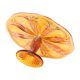 Art Deco Orange Cake Dish Mother of Pearl Pastry Dish Depression Glass