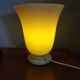 Tulip lamp