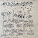 Vintage botanical poster wall board 1970's hand made pharmaceutical university