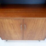 Storage unit by Cees Braakman for Pastoe, Netherlands 1955