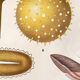 Botanical Poster: Pollination and Fertilisation