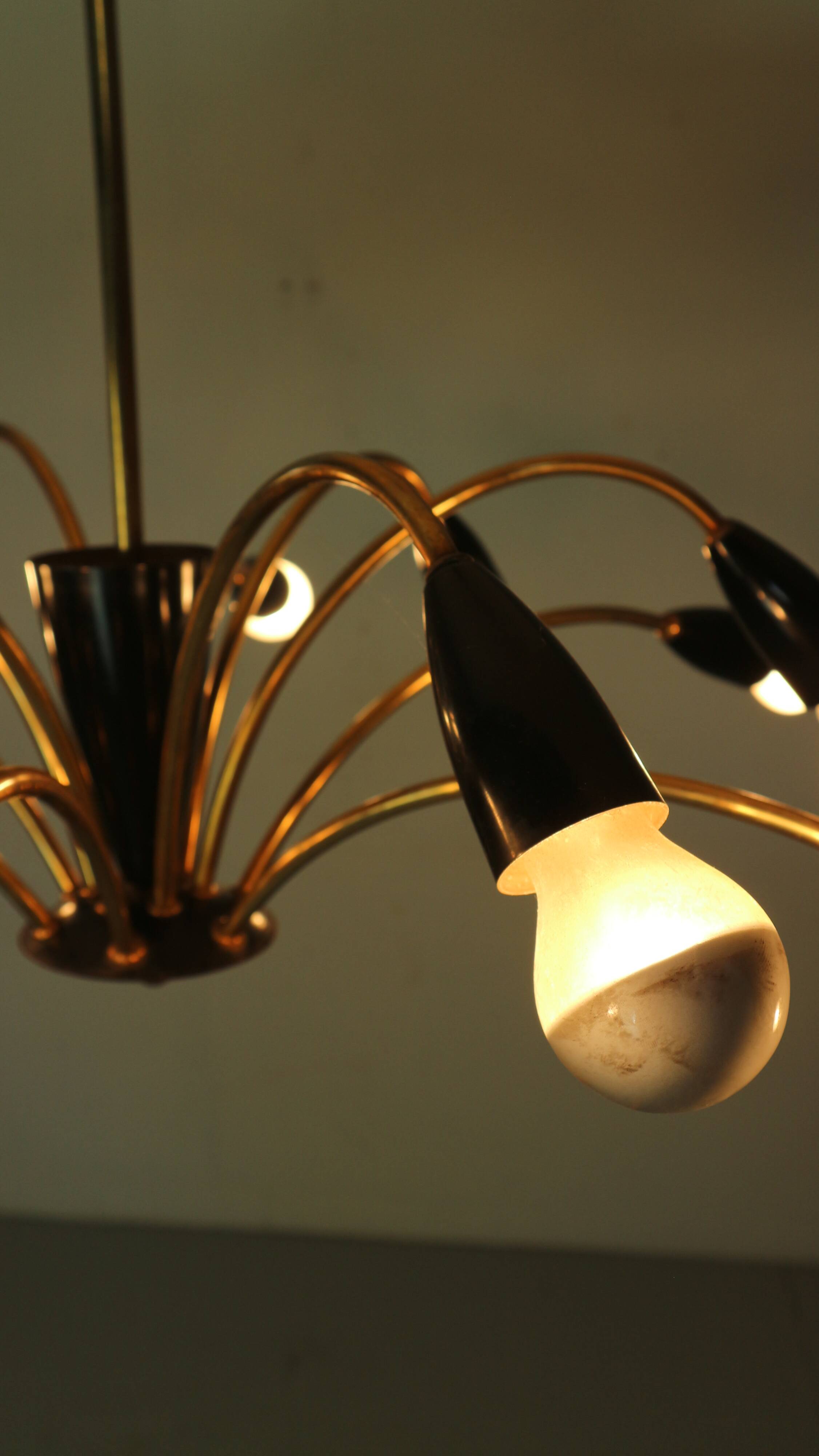 Italian Black and brass 12 arm Spider Chandelier  1950s