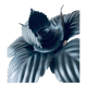 Vintage Italian flower design wall or ceiling light, Masca