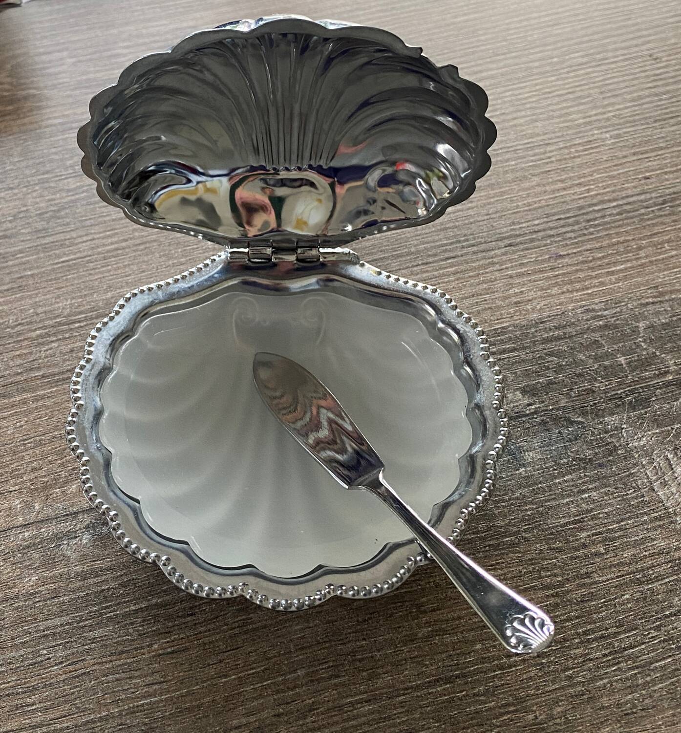 Stainless steel shell butter dish