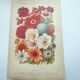 Botanical engraving from 1897 by A.Lefevre - Columbine - Old plate. Flower lithograph