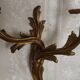 Bronze wall sconces decorated with acanthus leaves.