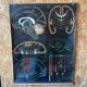 Dr. Auzoux's school poster "The brain"