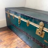 Old green and golden trunk
